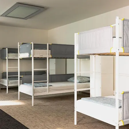 Mild Elephants 호스텔